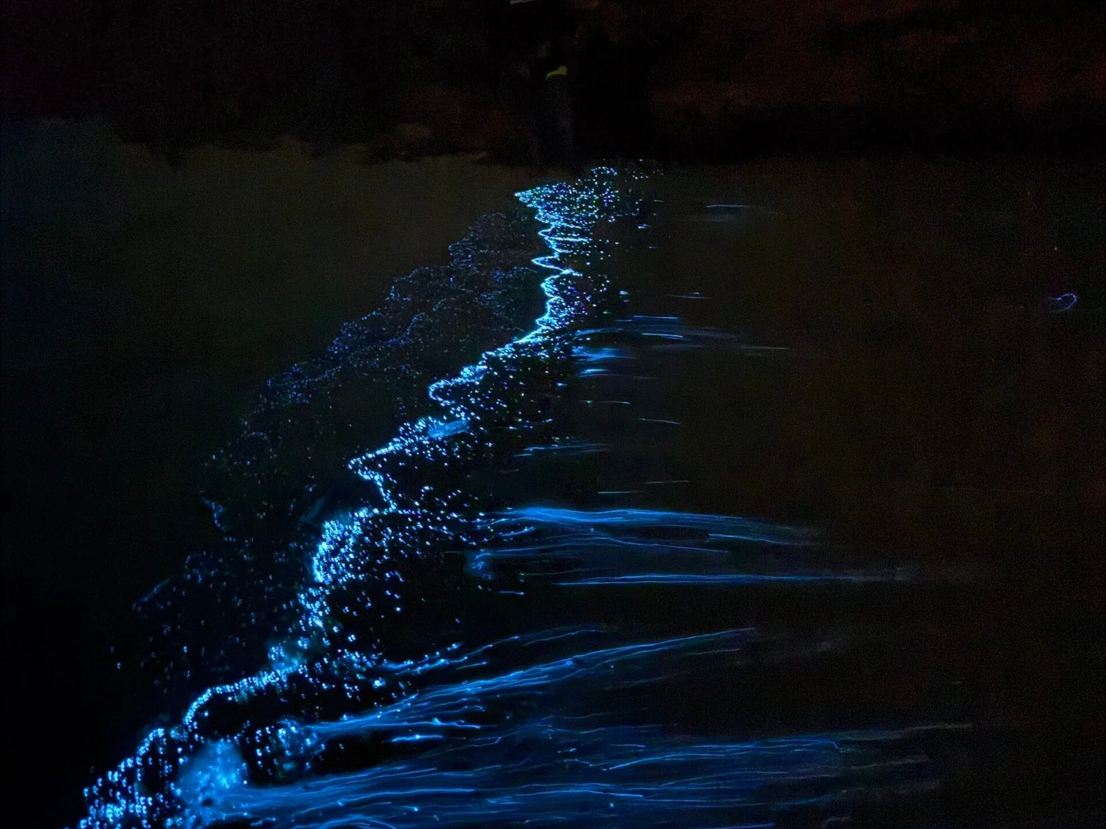 Camping At Daymaniat Island (4)