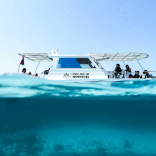 Daymaniyat Group Tour