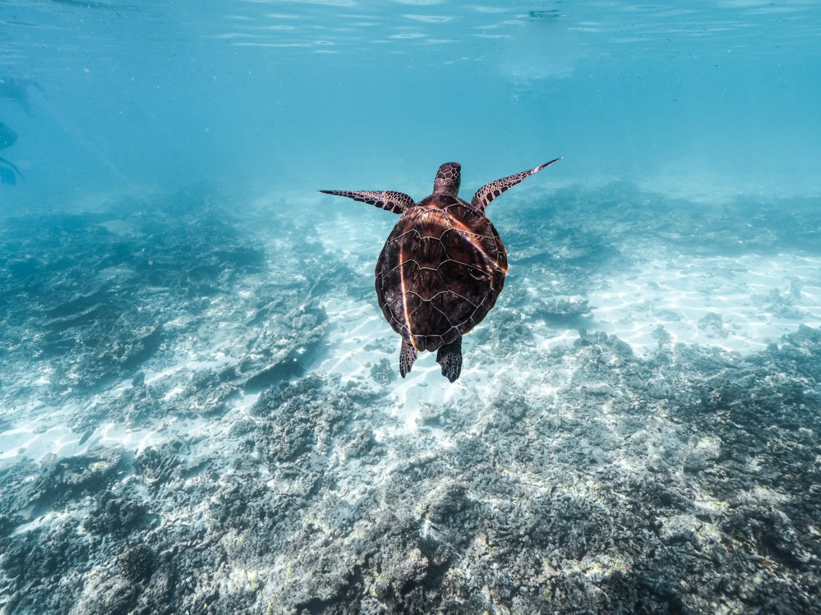 Daymaniyat Islands Sea Tours Daymaniyat Islands Sea Tours